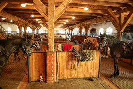 قصر المزرعة شقق الإقامة غرف الاسترخاء في Masuria بولندا