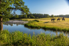 قصر المزرعة شقق الإقامة غرف الاسترخاء في Masuria بولندا
