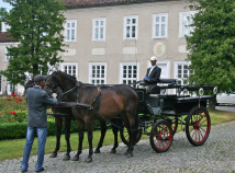 قصر المزرعة شقق الإقامة غرف الاسترخاء في Masuria بولندا