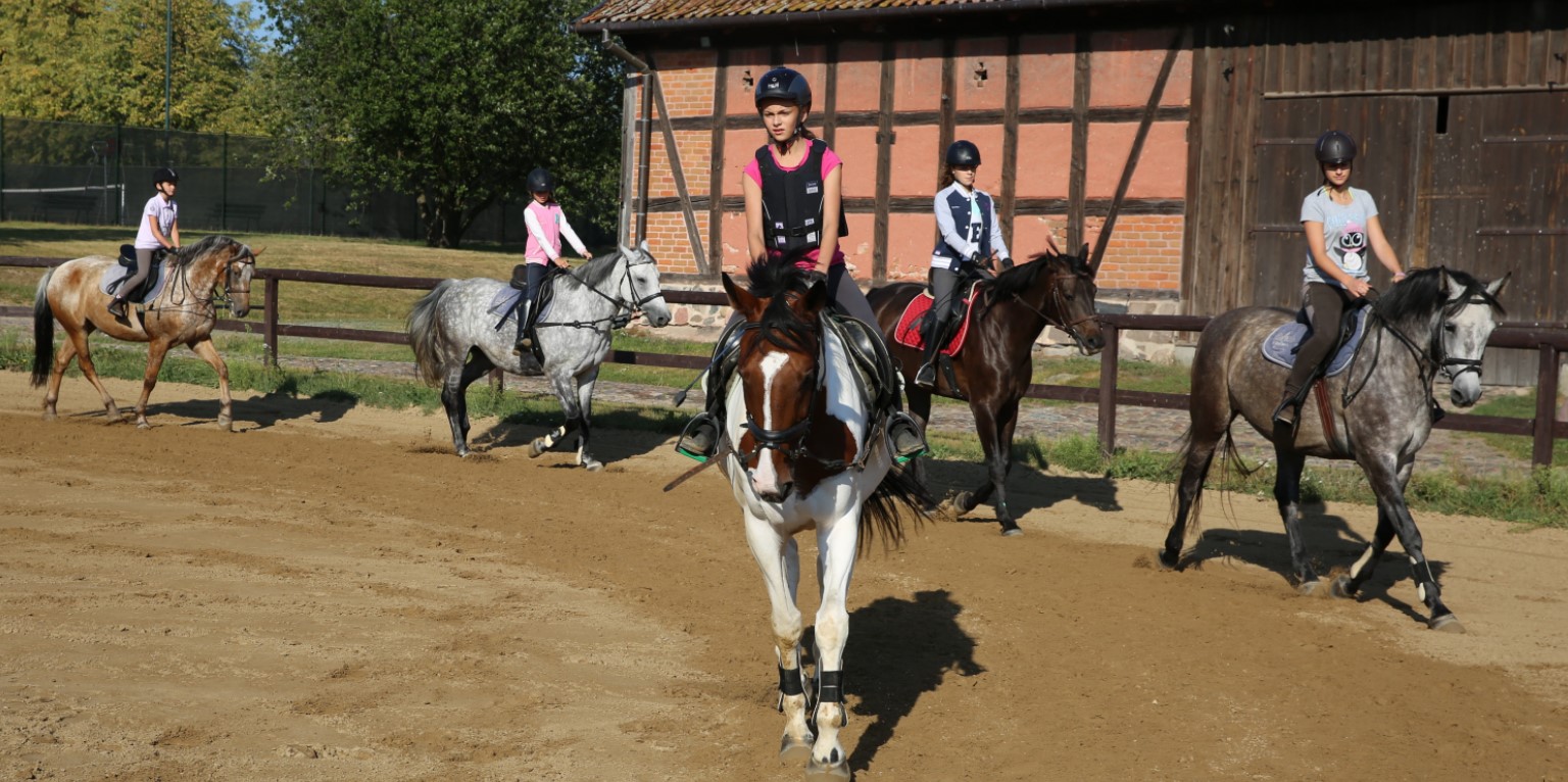 قصر المزرعة شقق الإقامة غرف الاسترخاء في Masuria بولندا