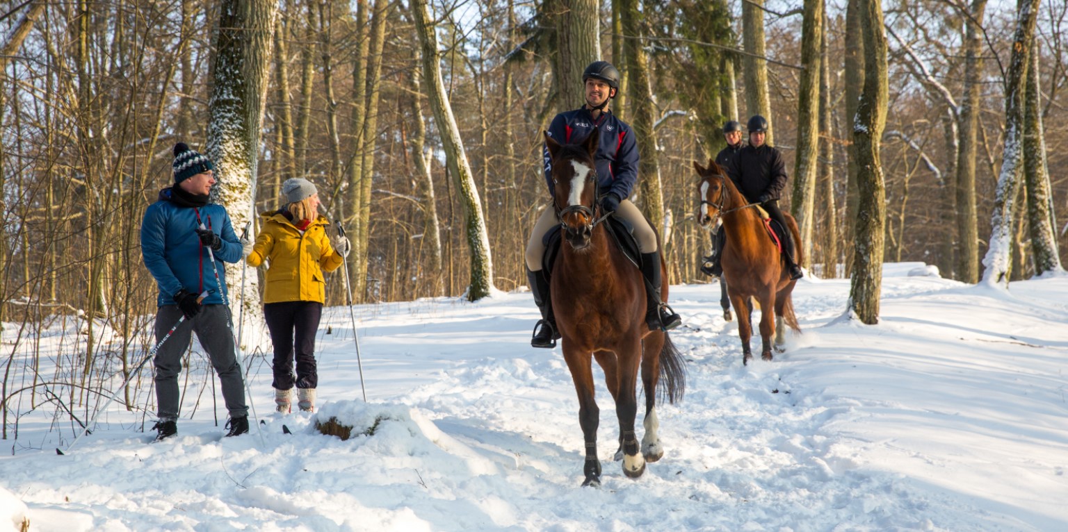 قصر المزرعة شقق الإقامة غرف الاسترخاء في Masuria بولندا