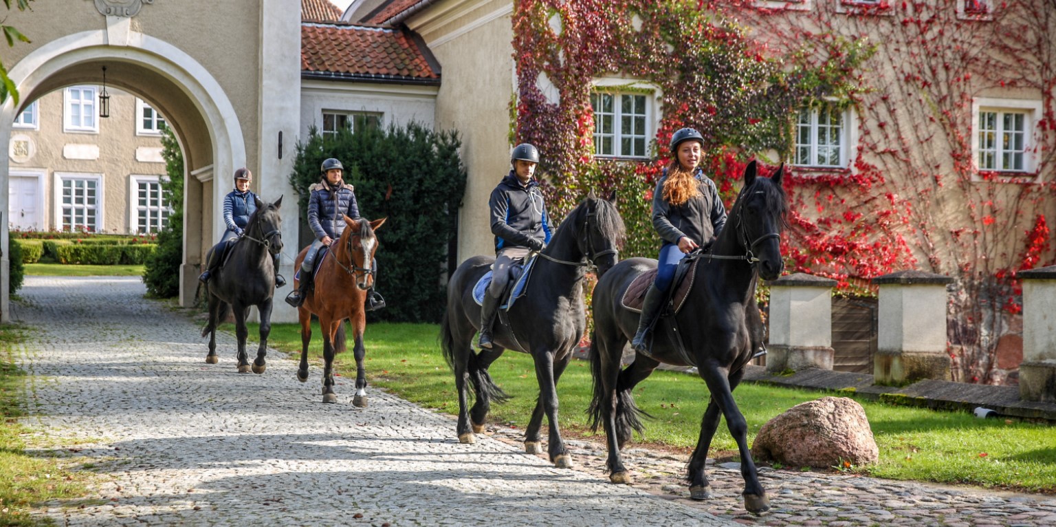 قصر المزرعة شقق الإقامة غرف الاسترخاء في Masuria بولندا