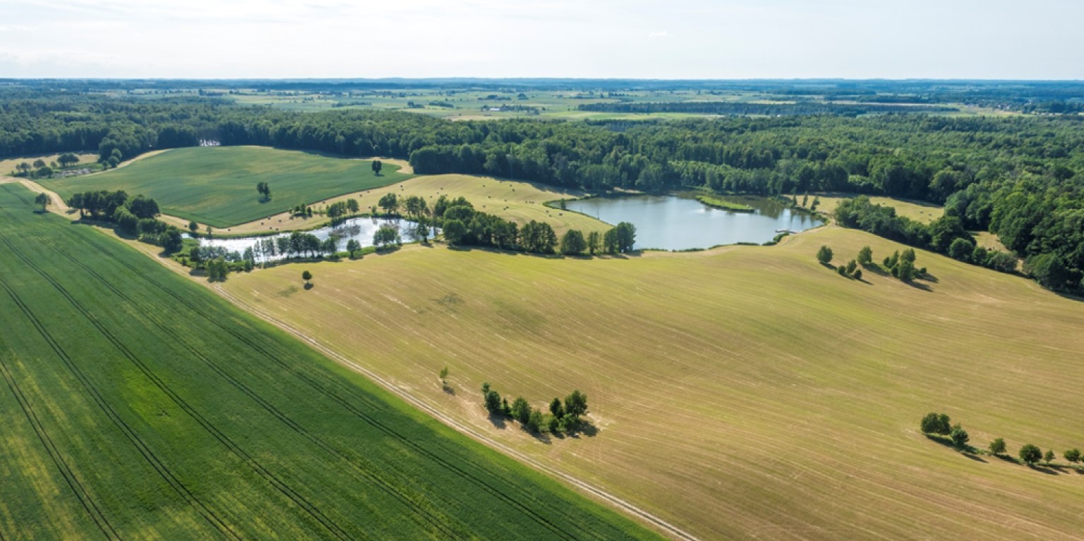 قصر المزرعة شقق الإقامة غرف الاسترخاء في Masuria بولندا
